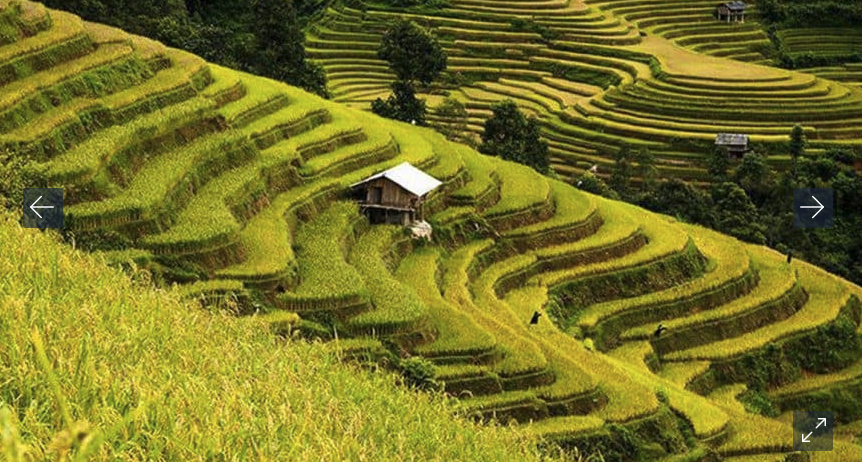 4 Days To Hoang Su Phi - Bac Ha - Vu Linh - Hanoi