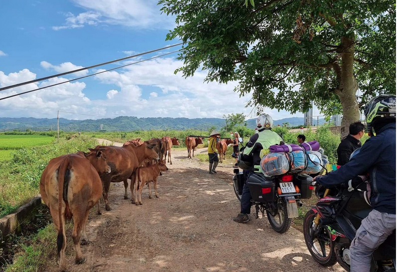 12 Days Hanoi Easy Rider To Dalat