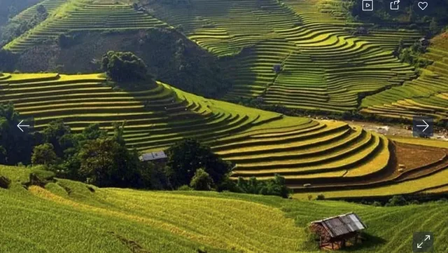7 Days Hanoi Easy Rider To Mu Cang Chai - Sapa - Bac Ha - Hoang Su Phi Tour